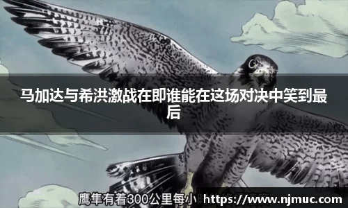 betway必威西汉姆联