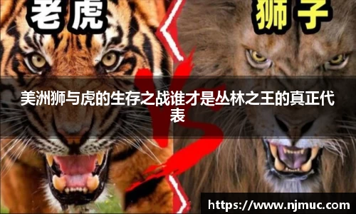 betway必威西汉姆联