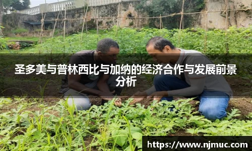 圣多美与普林西比与加纳的经济合作与发展前景分析